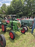 Sommerfest am See des Schwäbischen Albvereins
